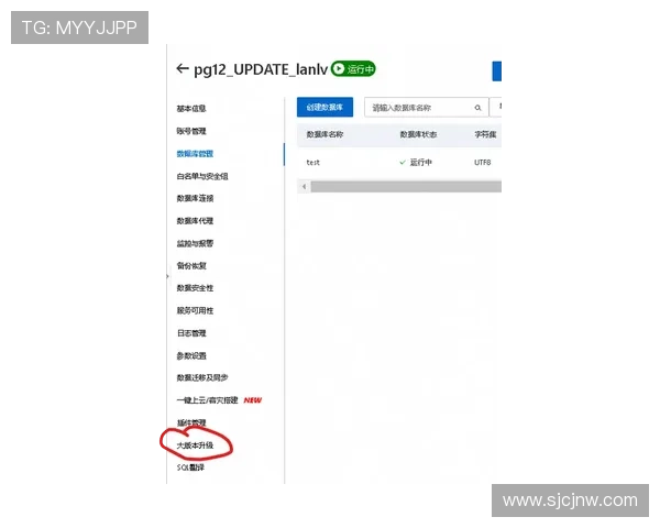 问鼎pg平台入口：最新版本更新内容及优化提升玩家游戏体验的方法