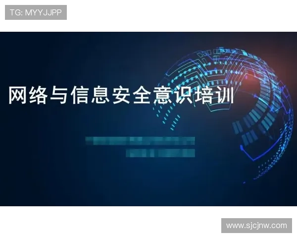PG平台电子网站技术保障措施详解确保玩家个人信息与资金安全的关键措施